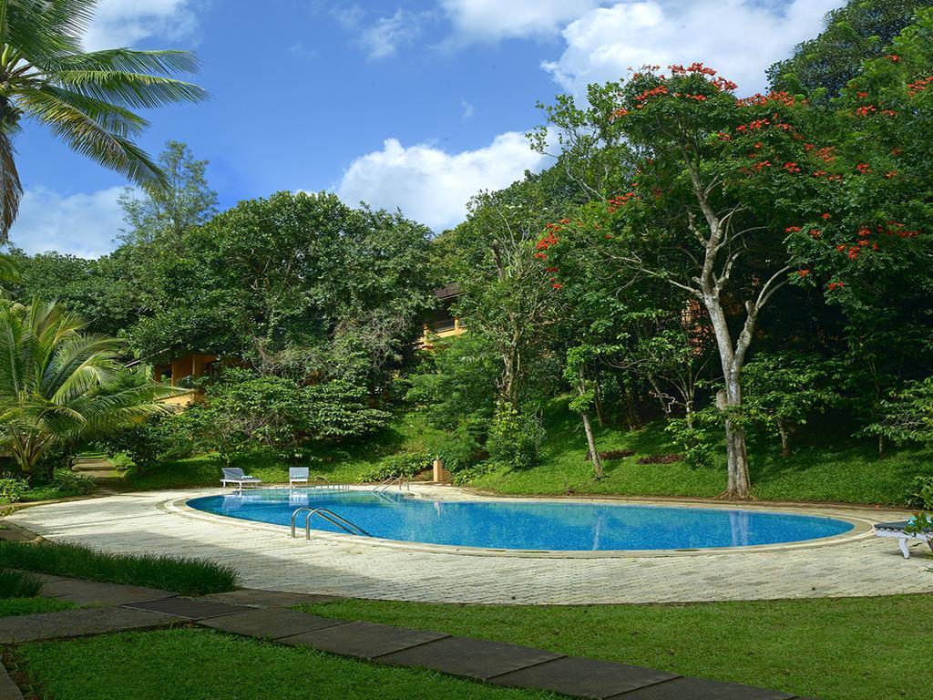 Abad Green Forest Thekkady Kumily Exterior foto